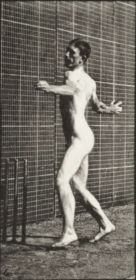 Plate 290 Cricket, overarm bowling — figure reference